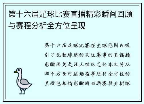 第十六届足球比赛直播精彩瞬间回顾与赛程分析全方位呈现
