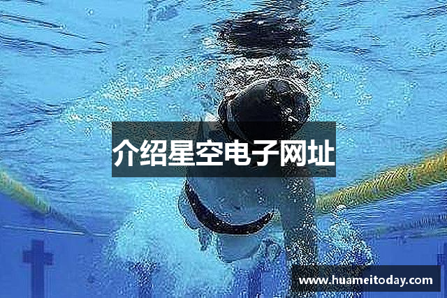 介绍星空电子网址